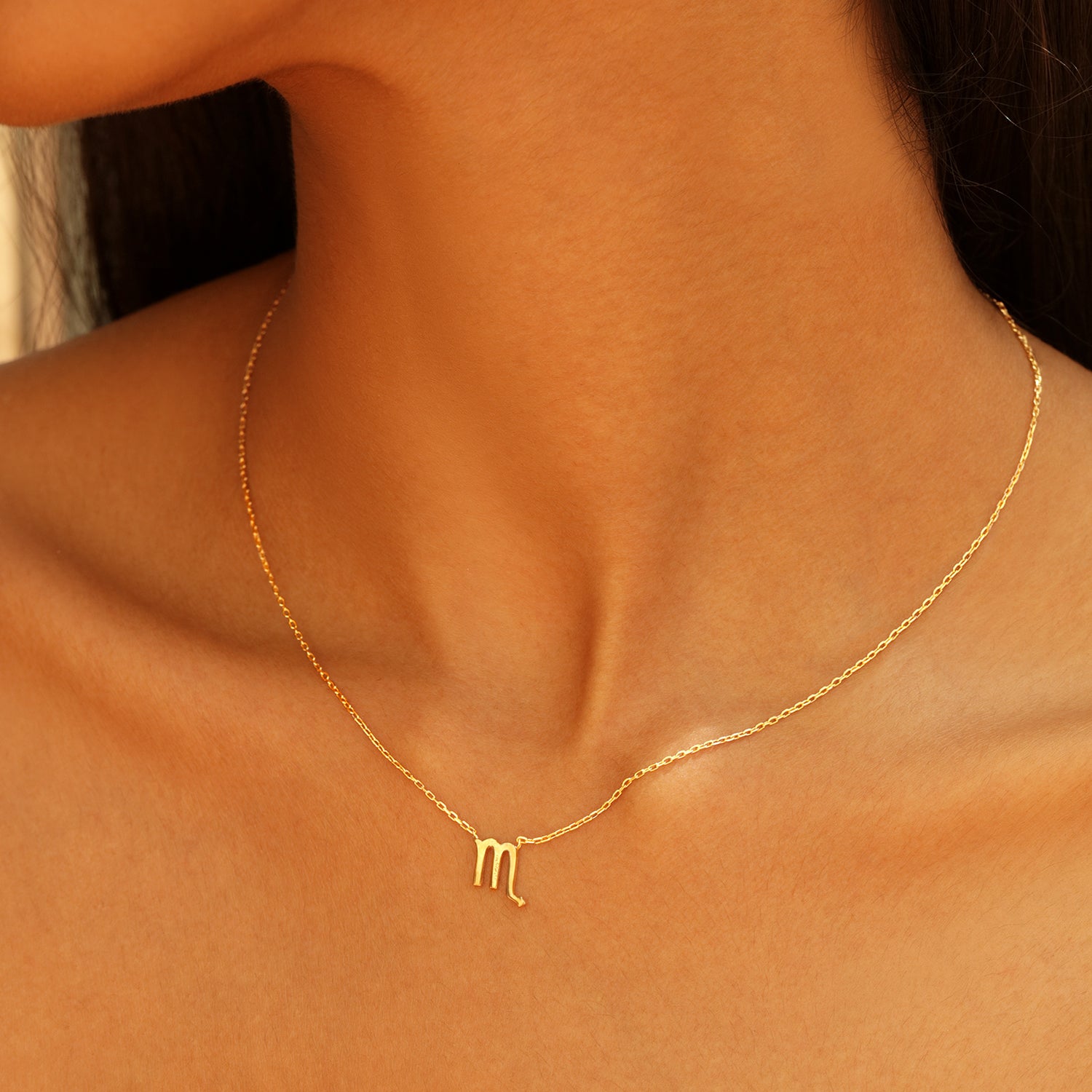 Zodiac Sign Necklace