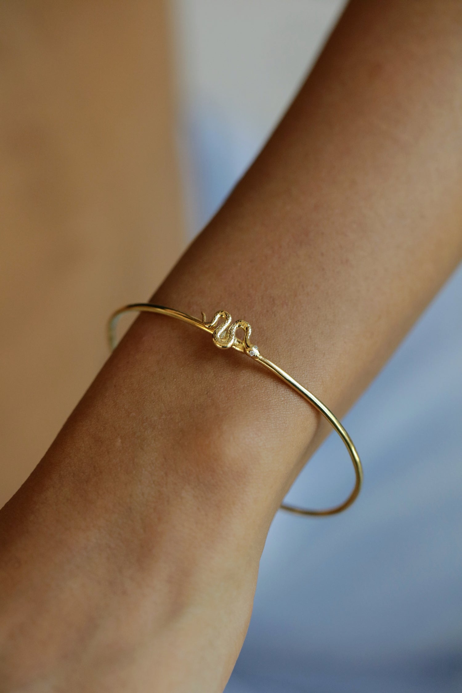 Snake Bracelet