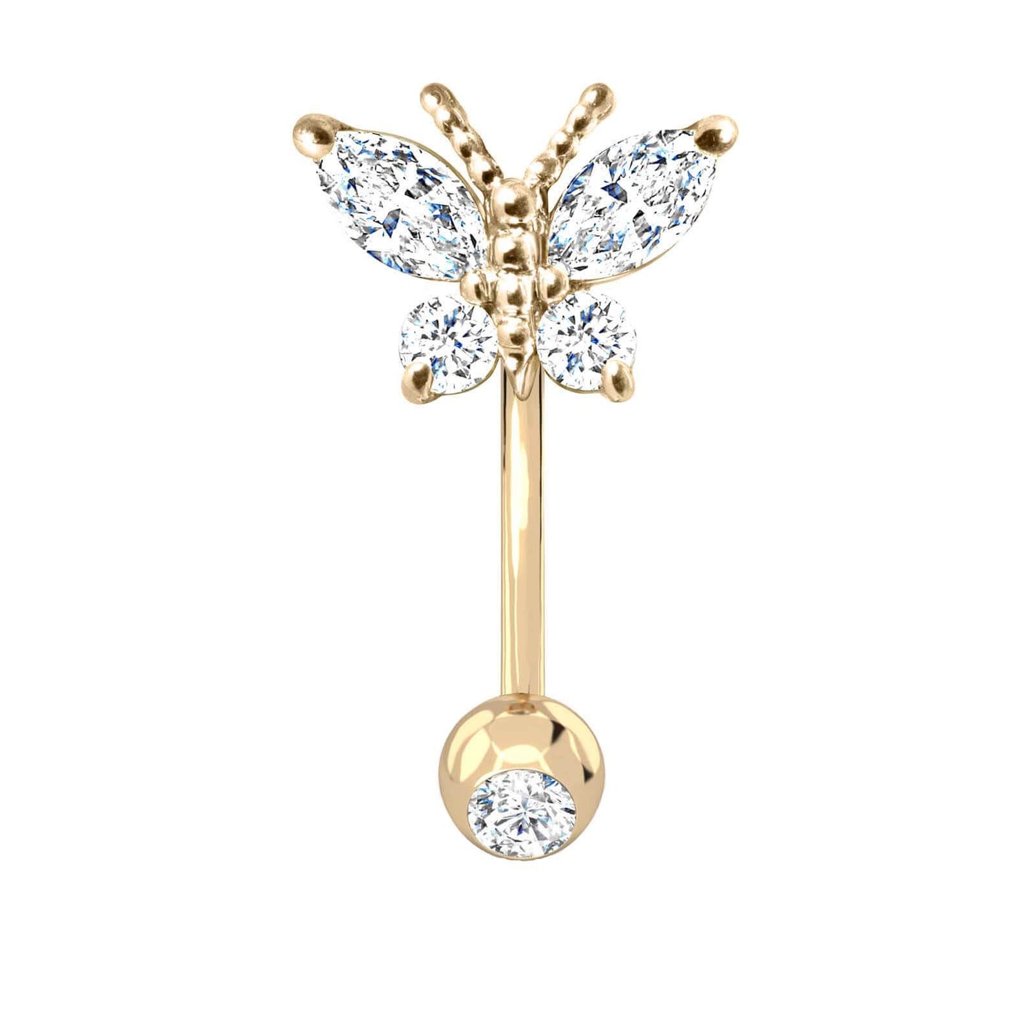 Butterfly  Belly Button