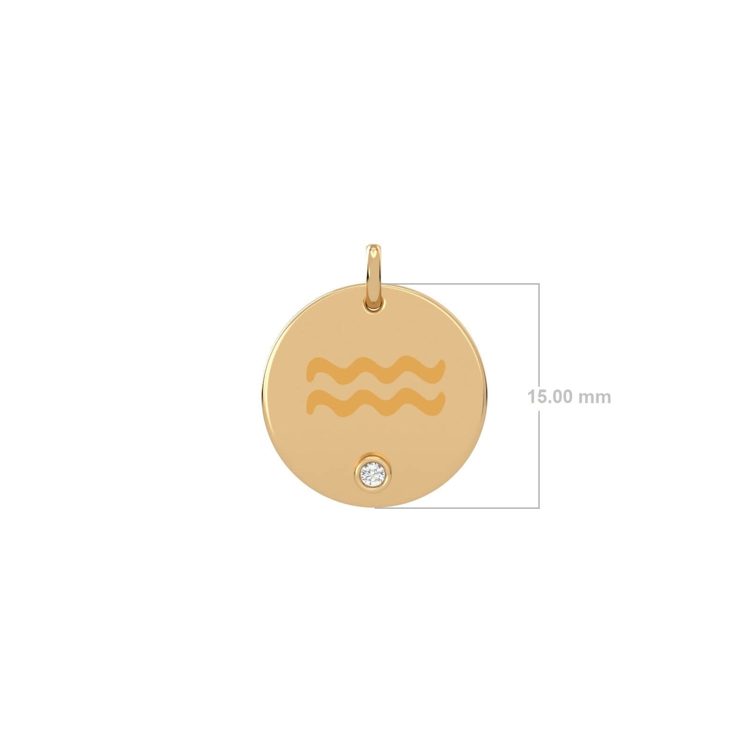 Charm Zodiac Sign Disc