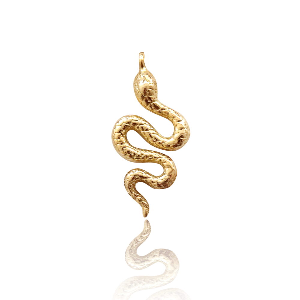 BC-CONST-CHARMS-SNAKE-scaled