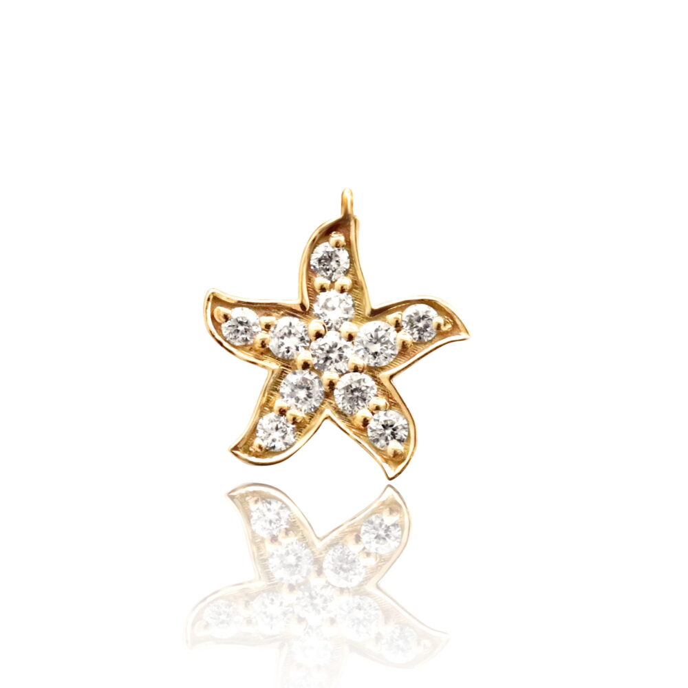 BC-CONST-CHARMS-STAR-scaled